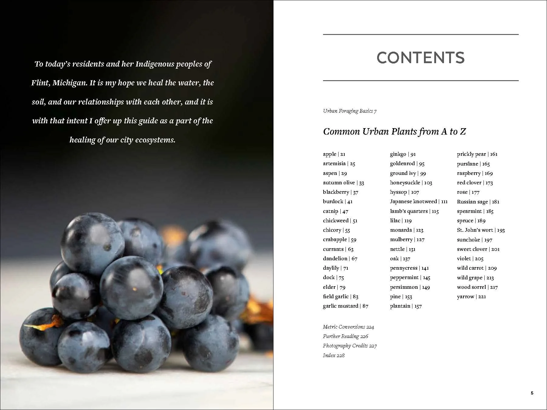 Urban Foraging: Find, Gather, and Cook 50 Wild Plants - Image 2