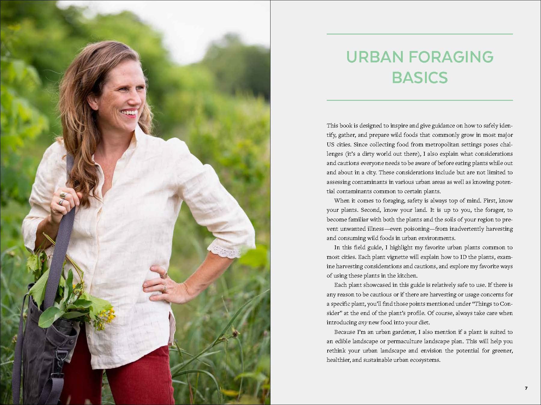 Urban Foraging: Find, Gather, and Cook 50 Wild Plants - Image 3