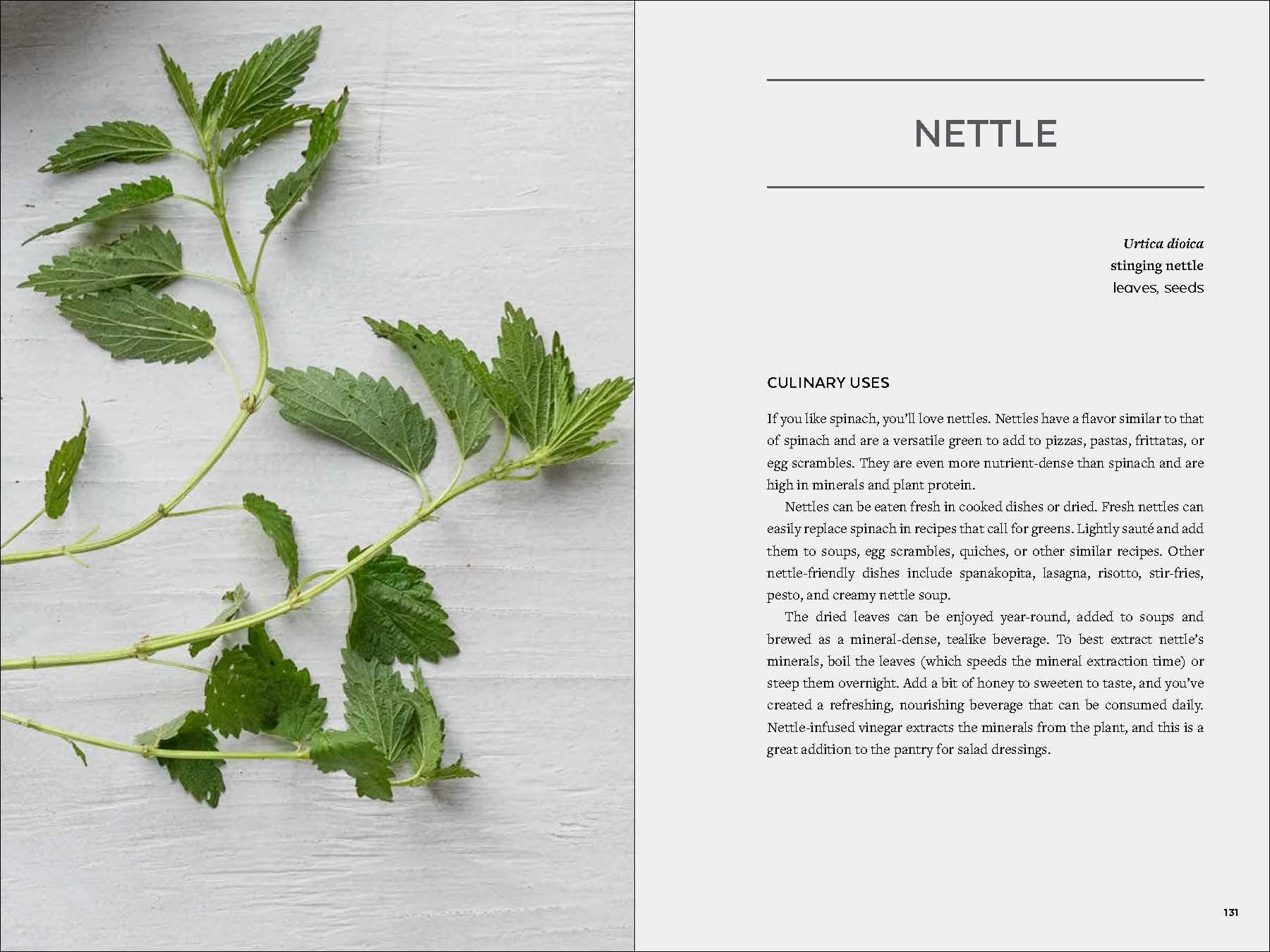 Urban Foraging: Find, Gather, and Cook 50 Wild Plants - Image 6