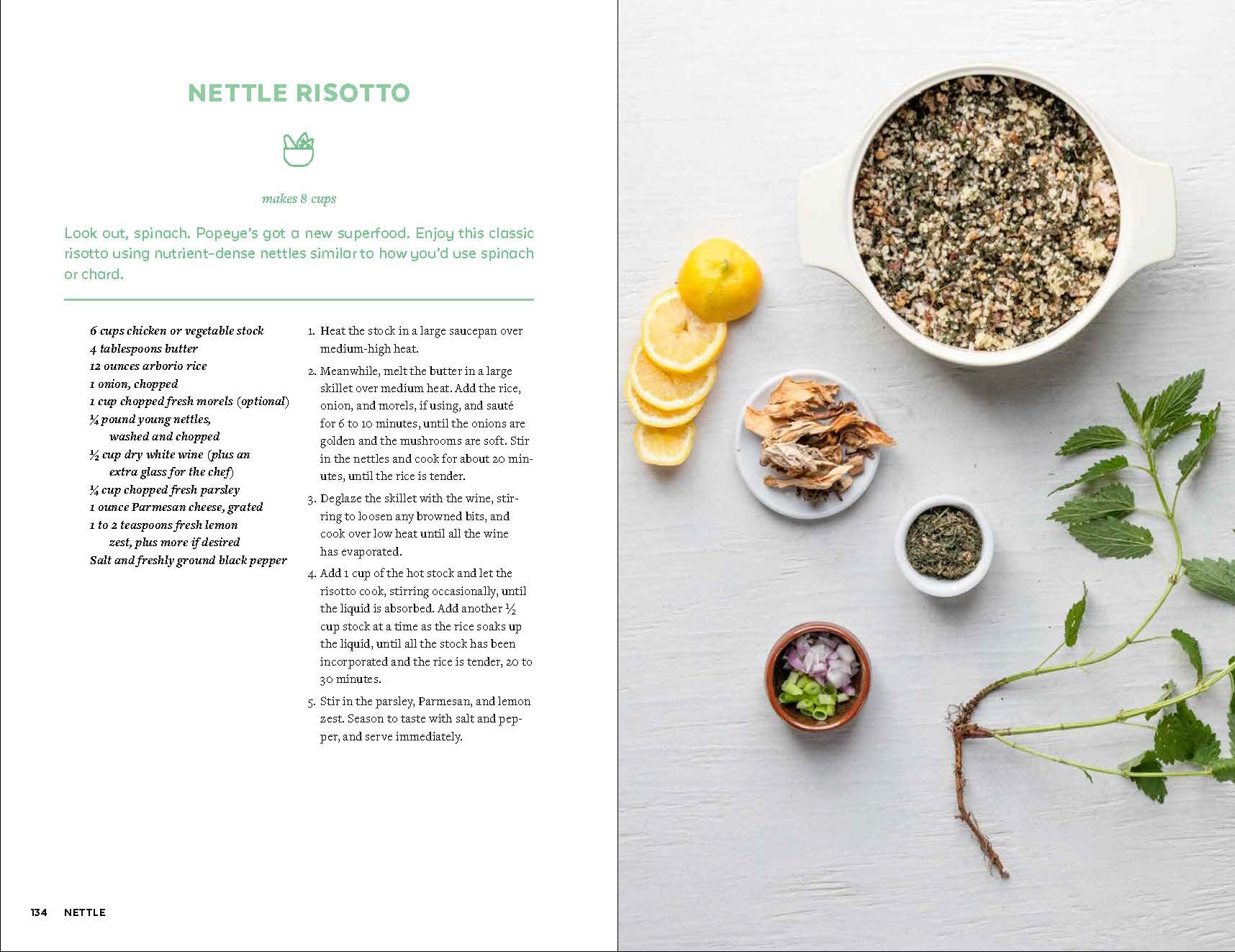 Urban Foraging: Find, Gather, and Cook 50 Wild Plants - Image 7