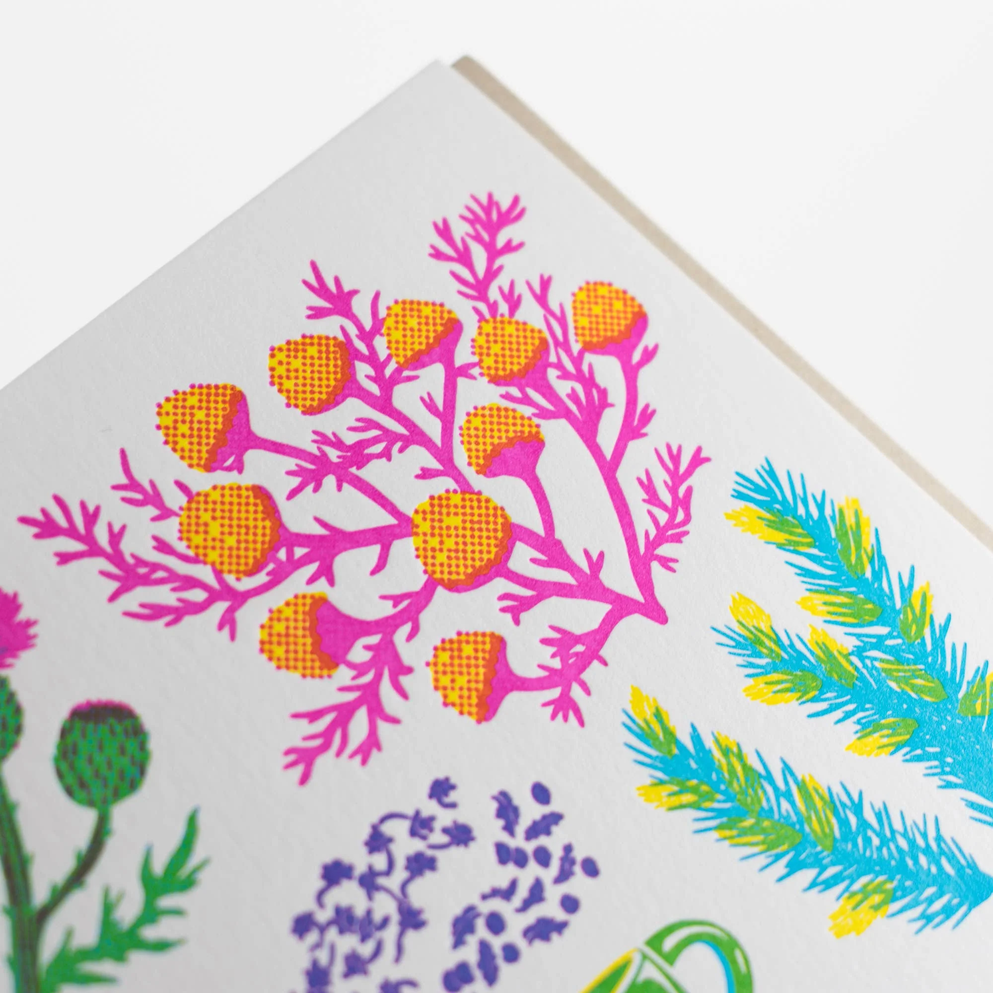 Vibrant Herbal Tea Card - Image 4
