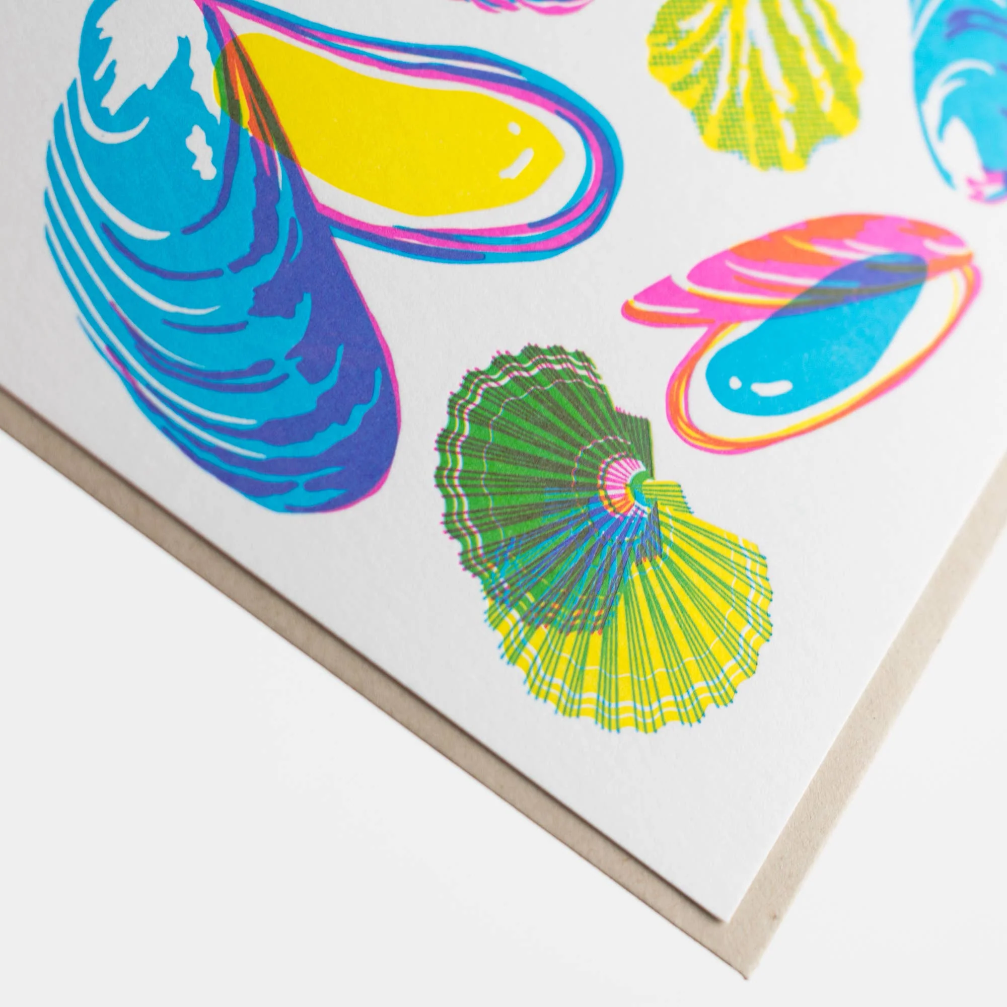 Vibrant Mollusks Card - Image 3