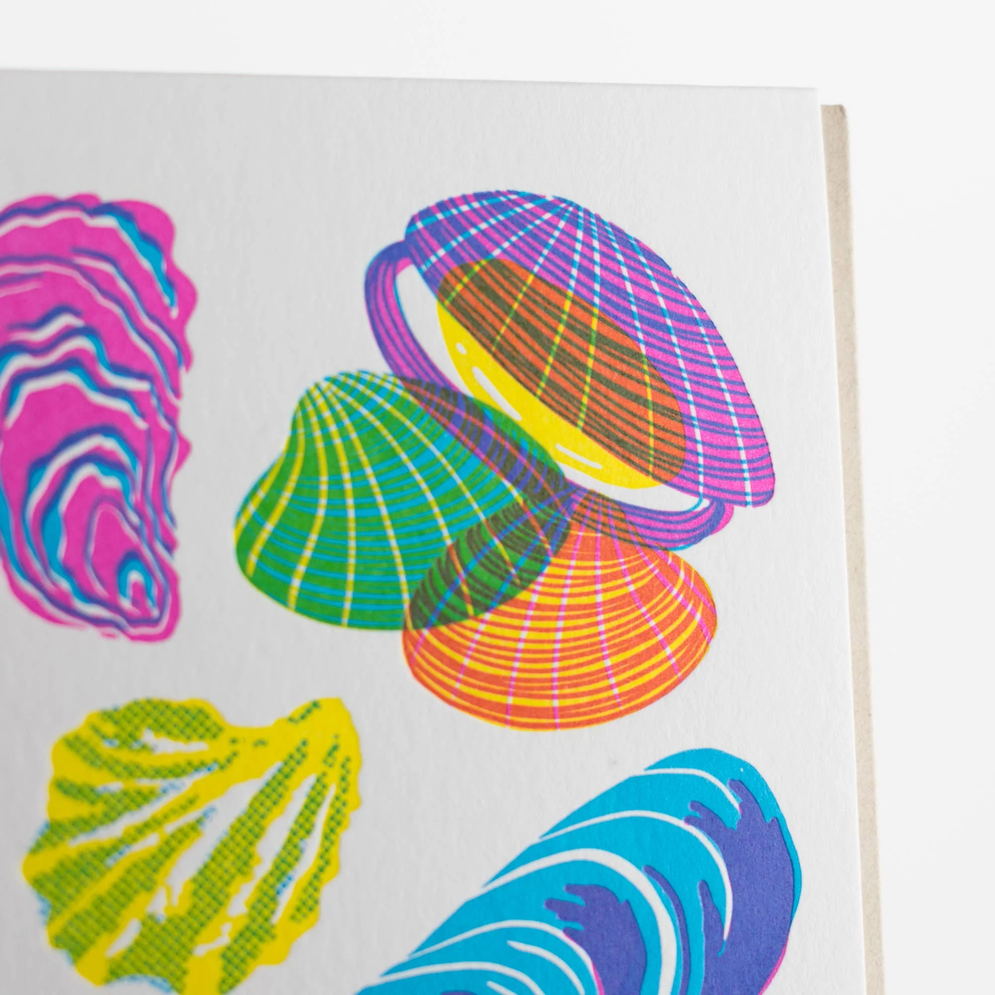 Vibrant Mollusks Card - Image 4