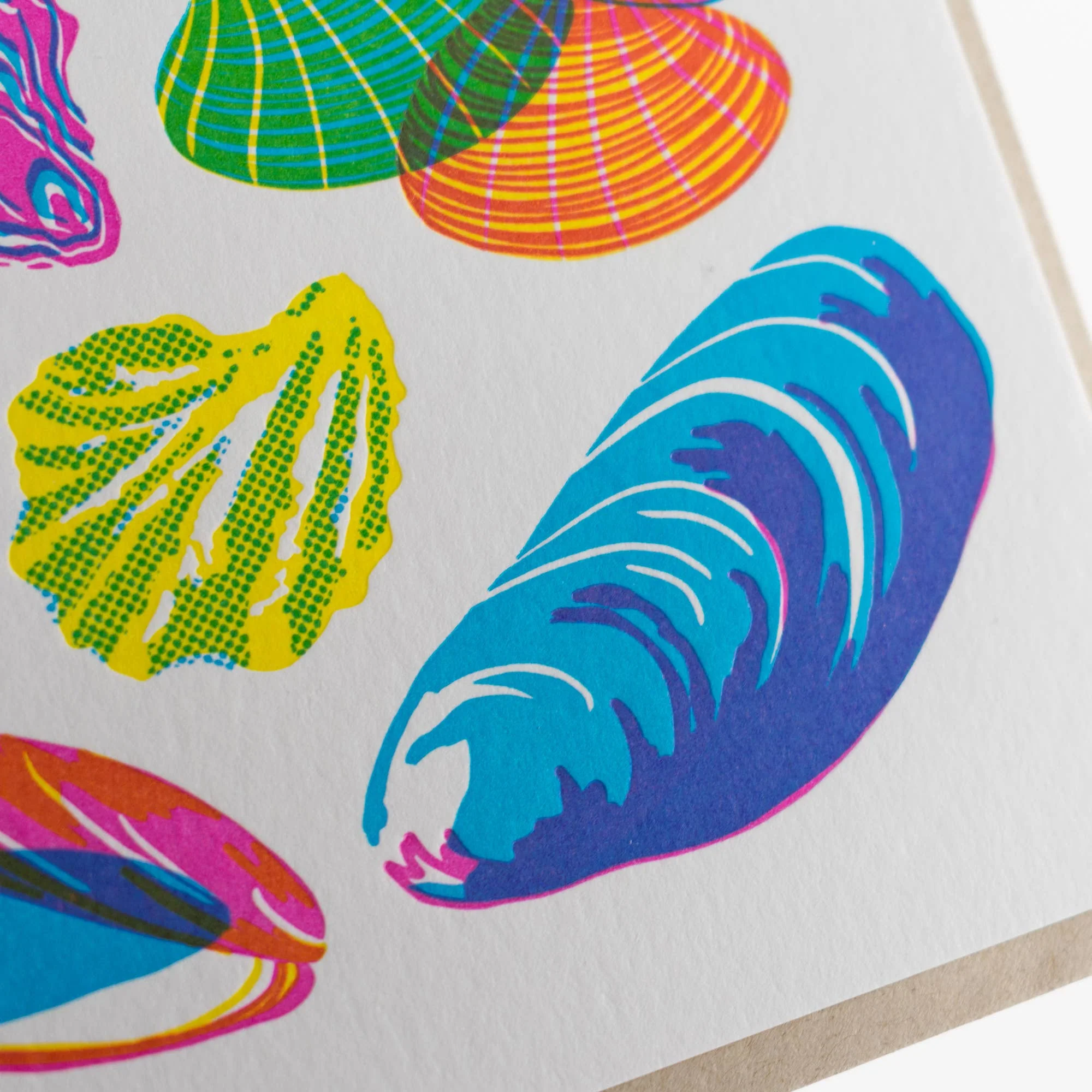 Vibrant Mollusks Card - Image 5