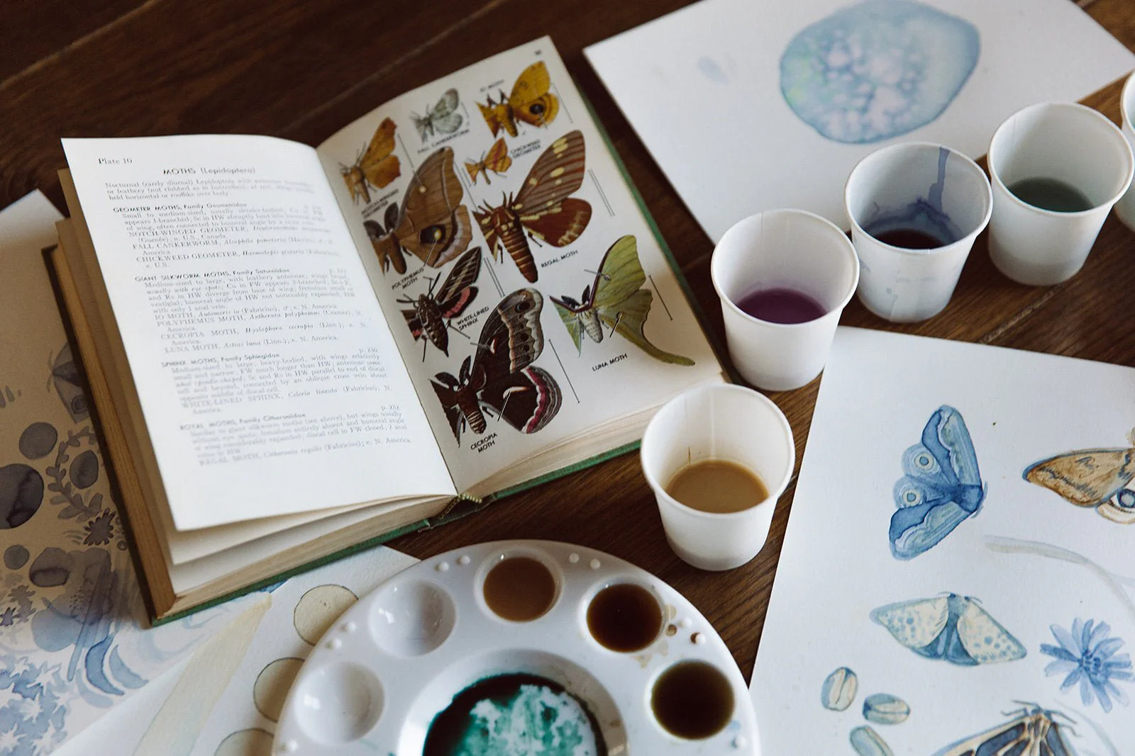 Paint with Coffee + Tea Art Kit - Image 2