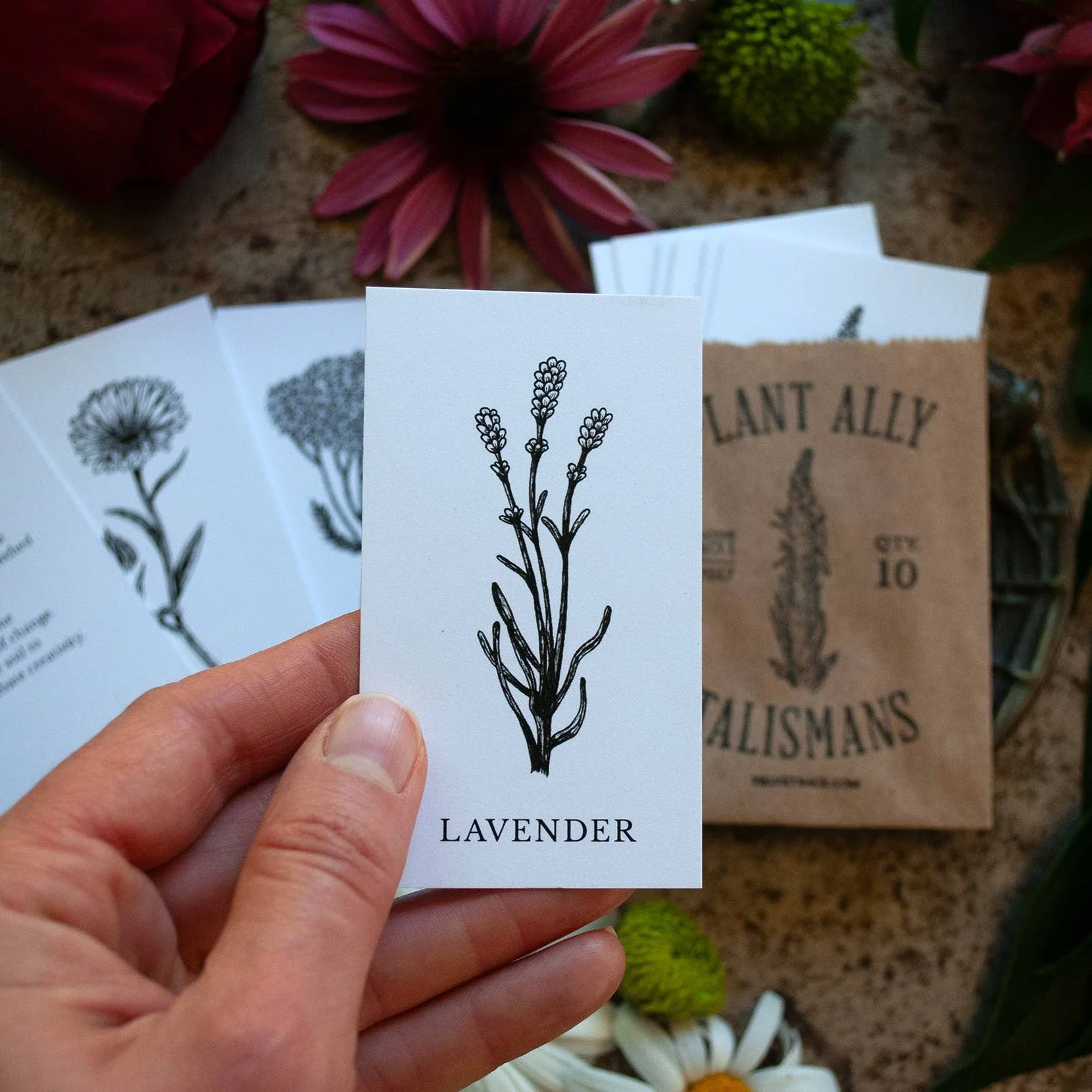 Plant Ally Talisman Cards | Vol 1 - Image 3