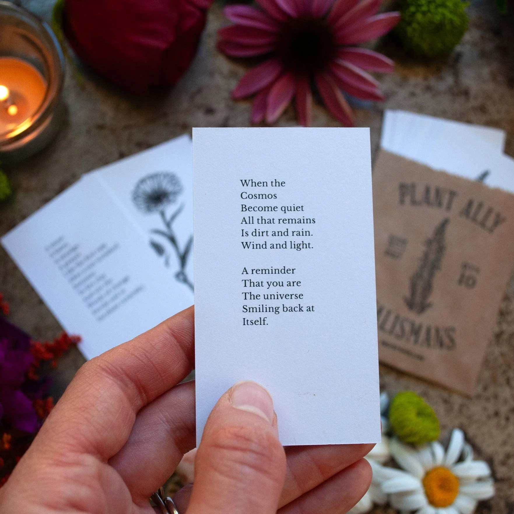 Plant Ally Talisman Cards | Vol 1 - Image 4