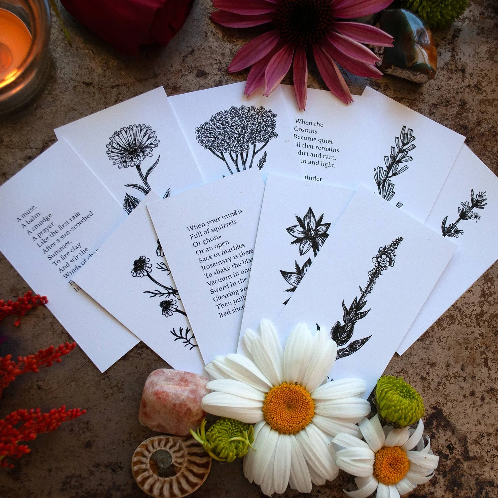Plant Ally Talisman Cards | Vol 1 - Image 5