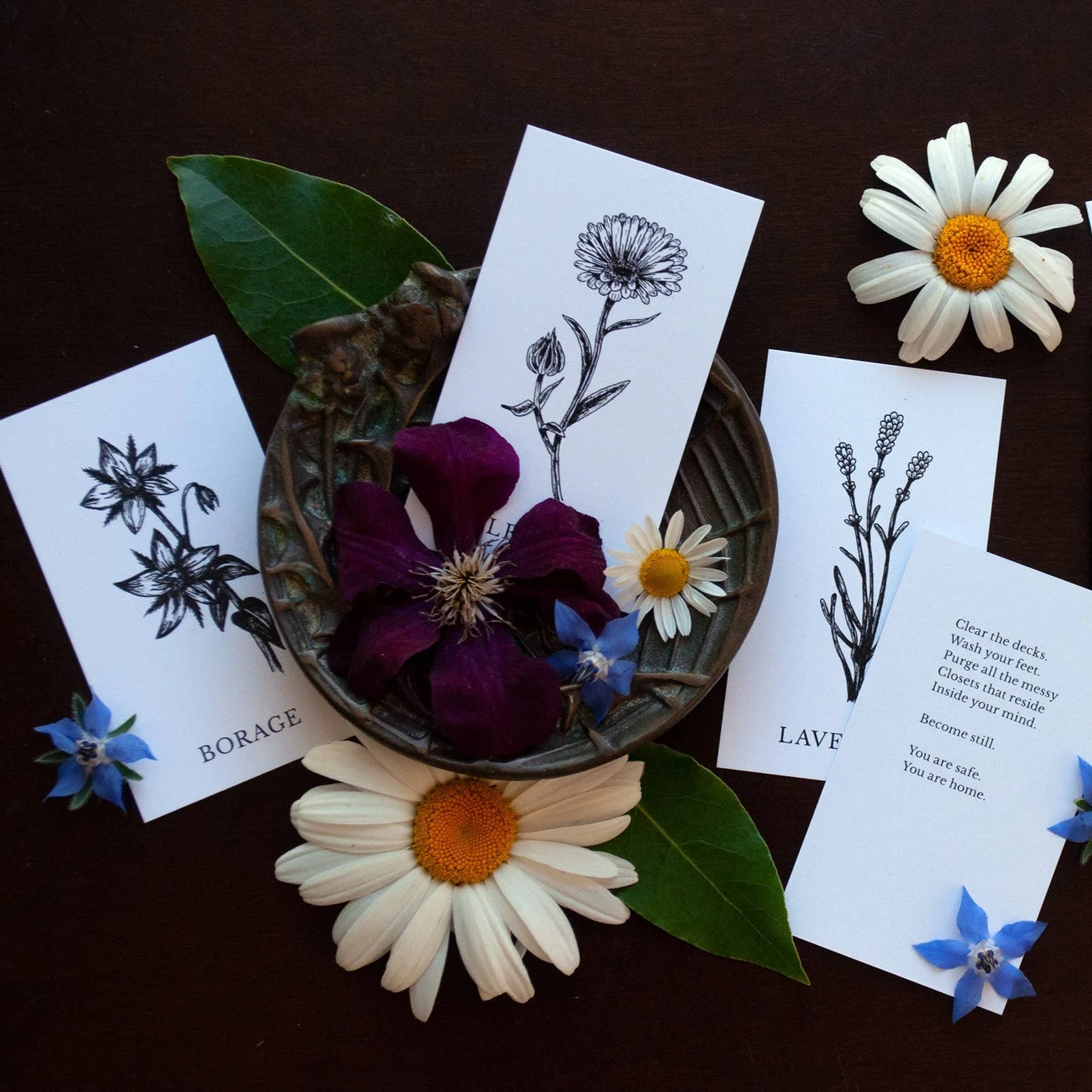 Plant Ally Talisman Cards | Vol 1 - Image 6