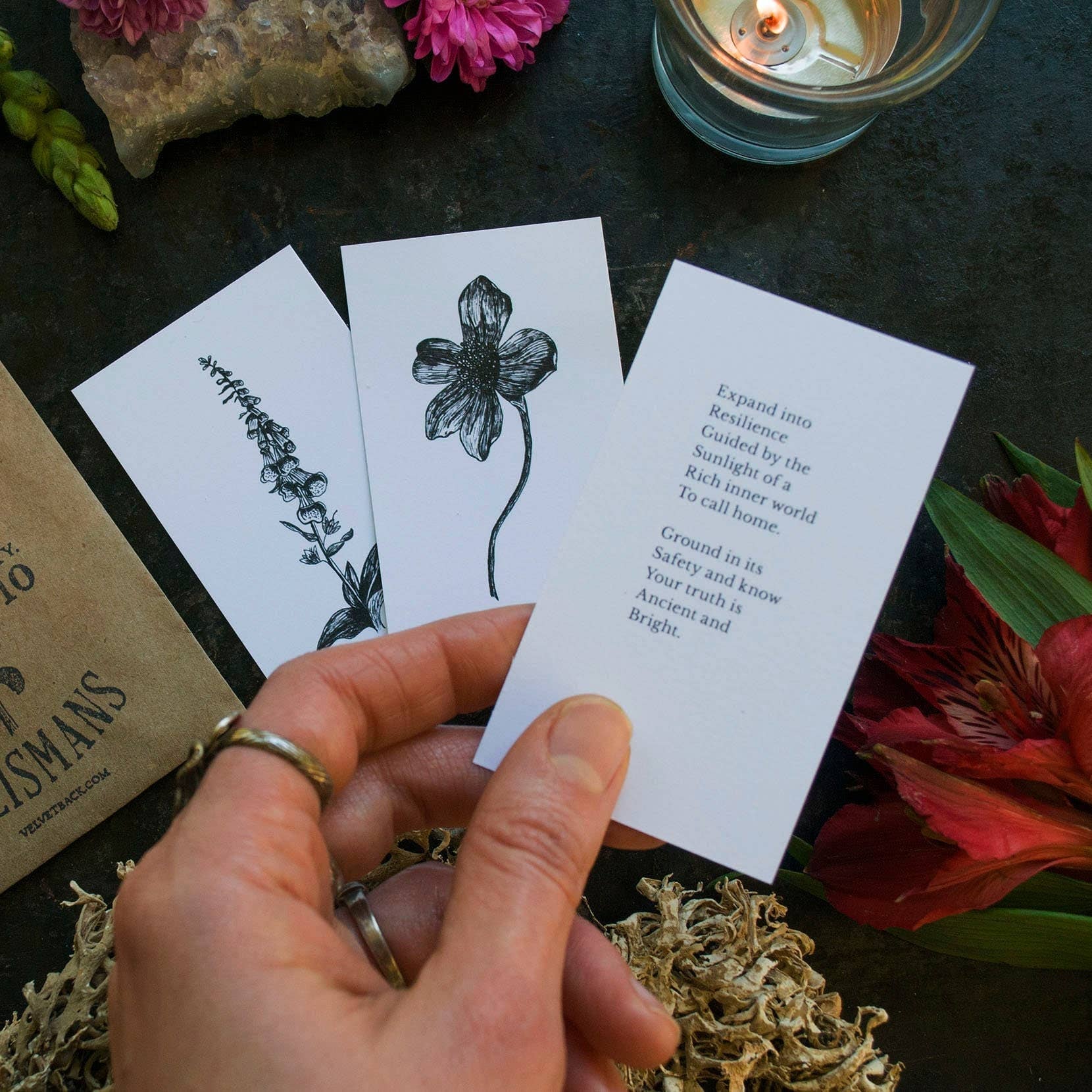 Plant Ally Talisman Cards | Vol 2 - Image 3