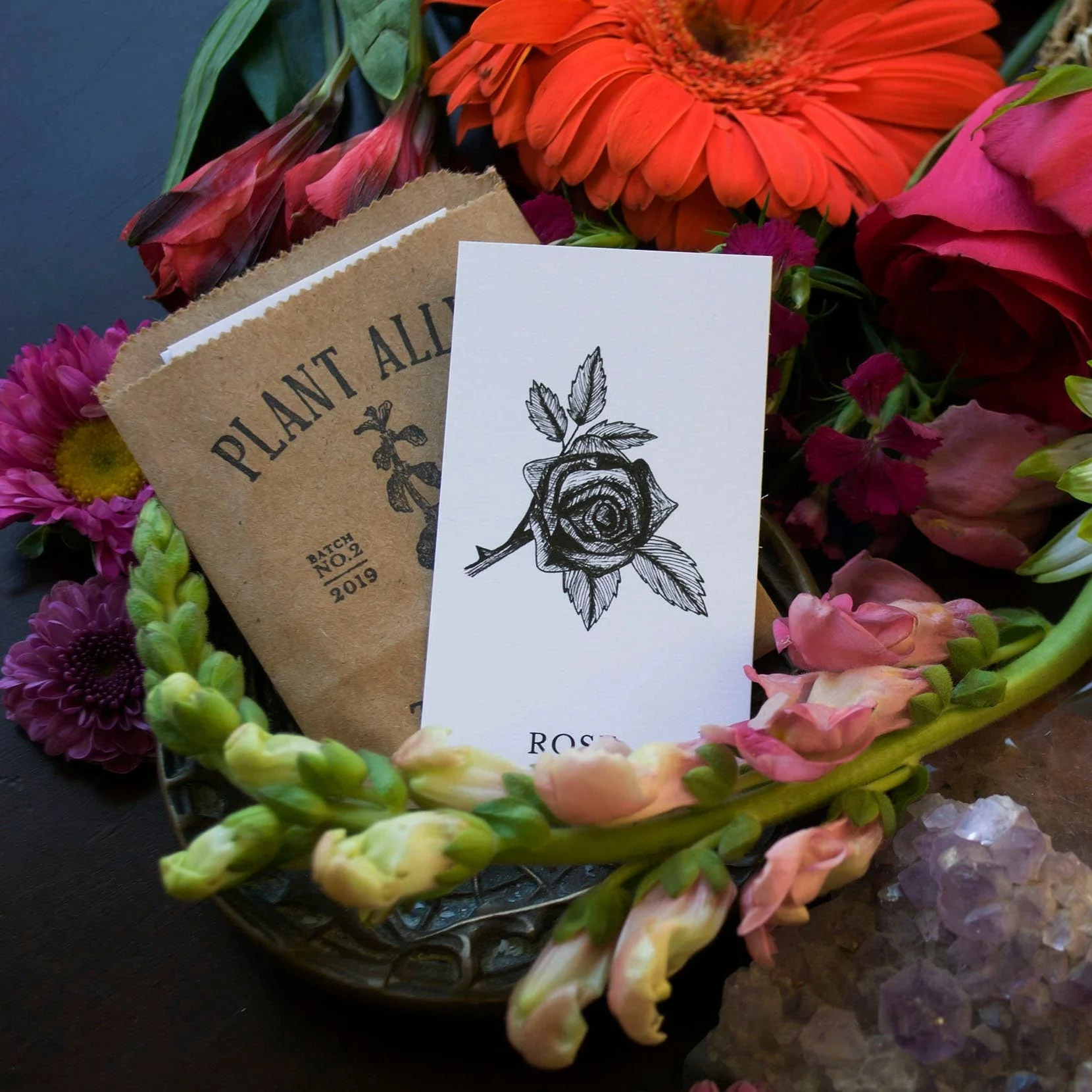 Plant Ally Talisman Cards | Vol 2 - Image 4