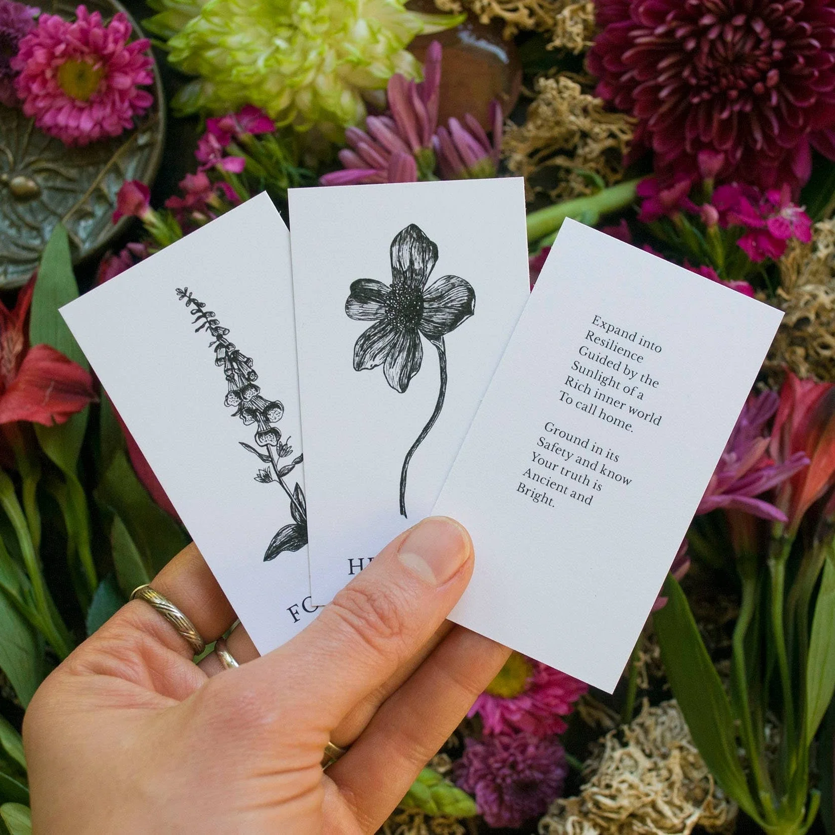 Plant Ally Talisman Cards | Vol 2 - Image 5