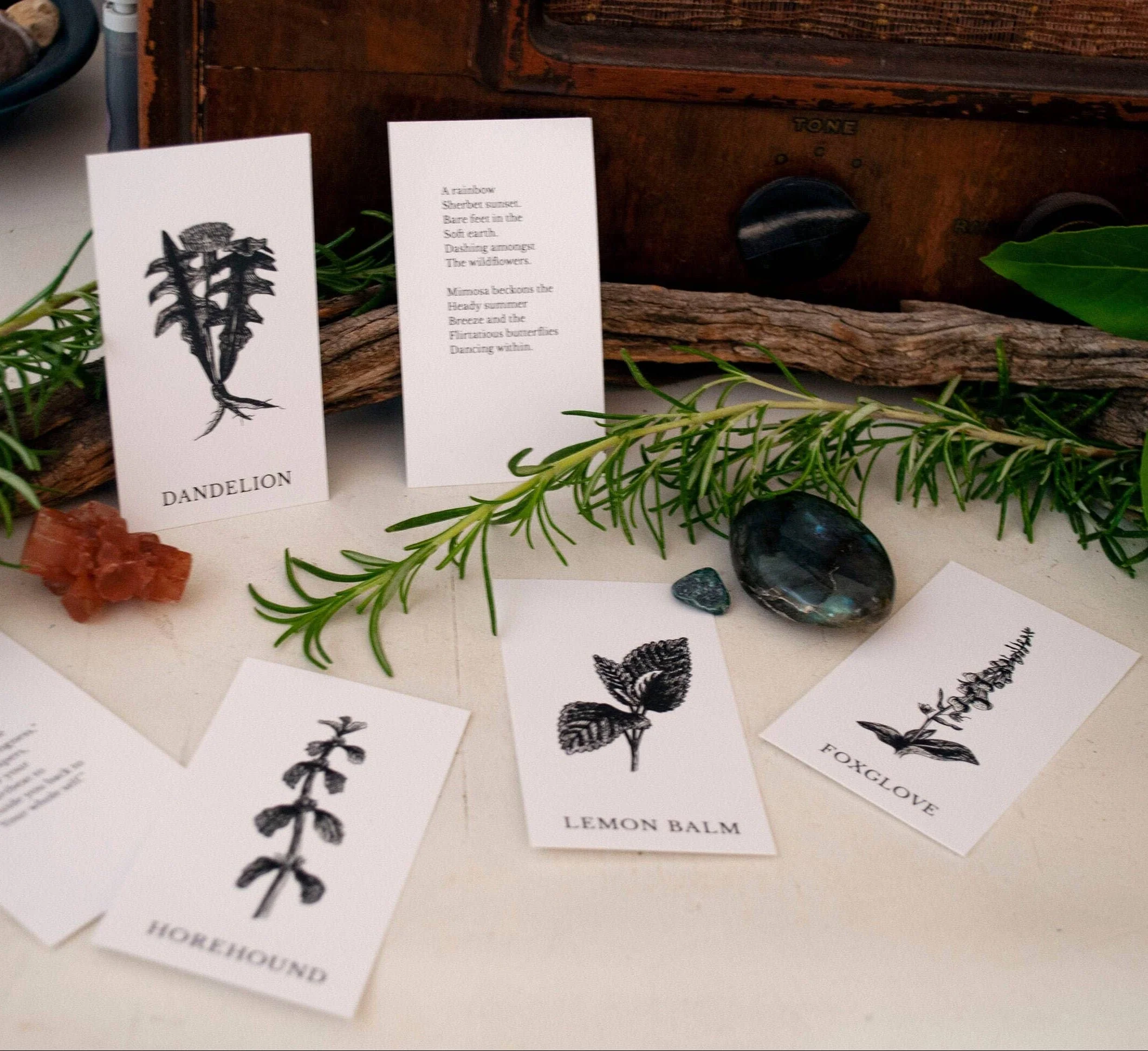 Plant Ally Talisman Cards | Vol 2 - Image 7
