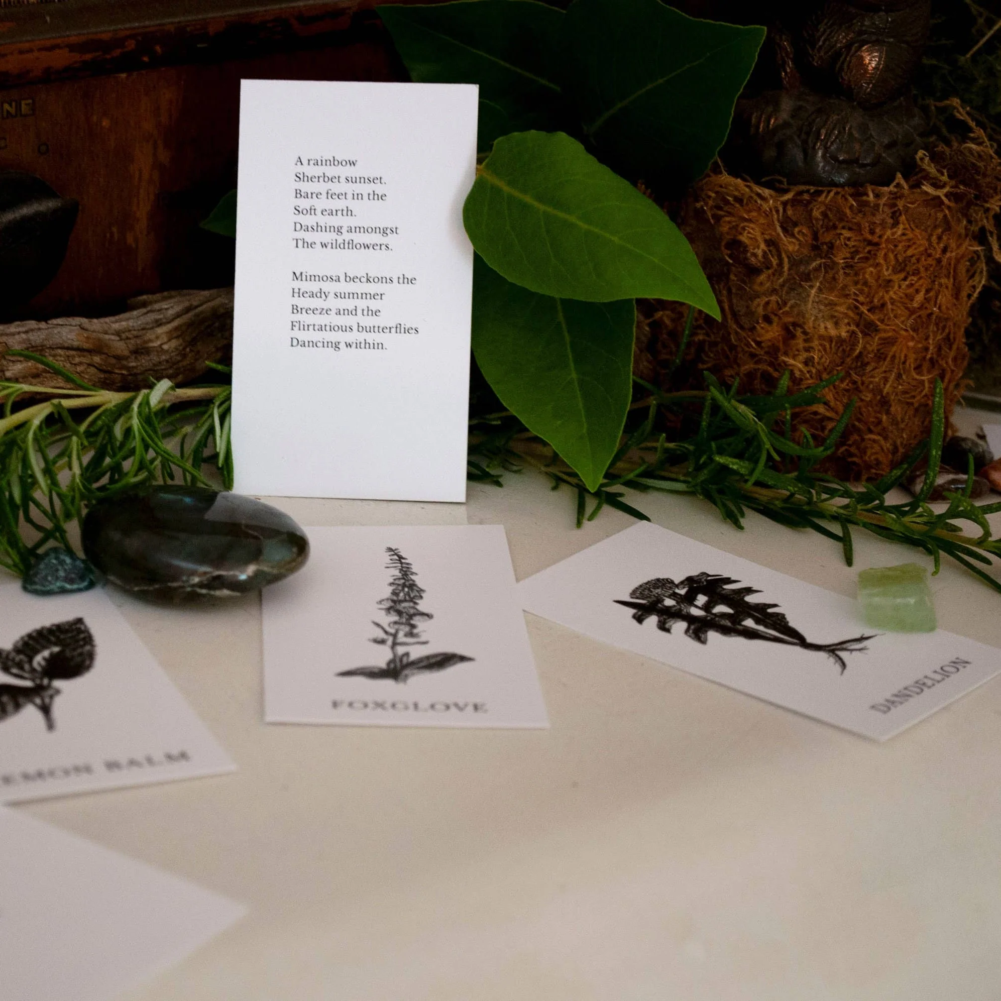 Plant Ally Talisman Cards | Vol 2 - Image 9
