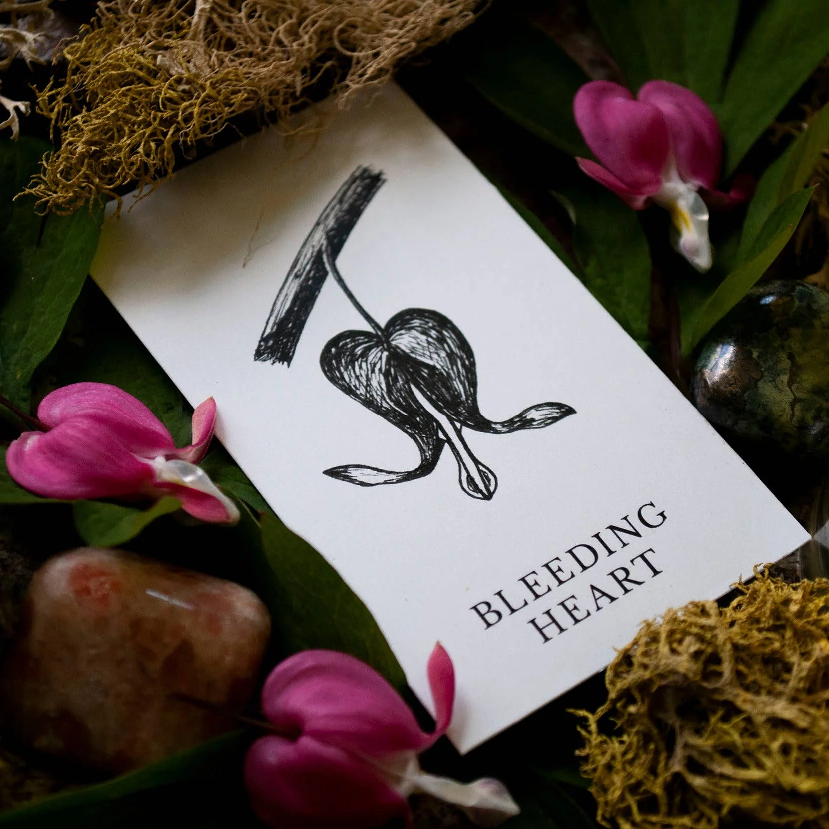 Plant Ally Talisman Cards | Vol 3 - Image 3