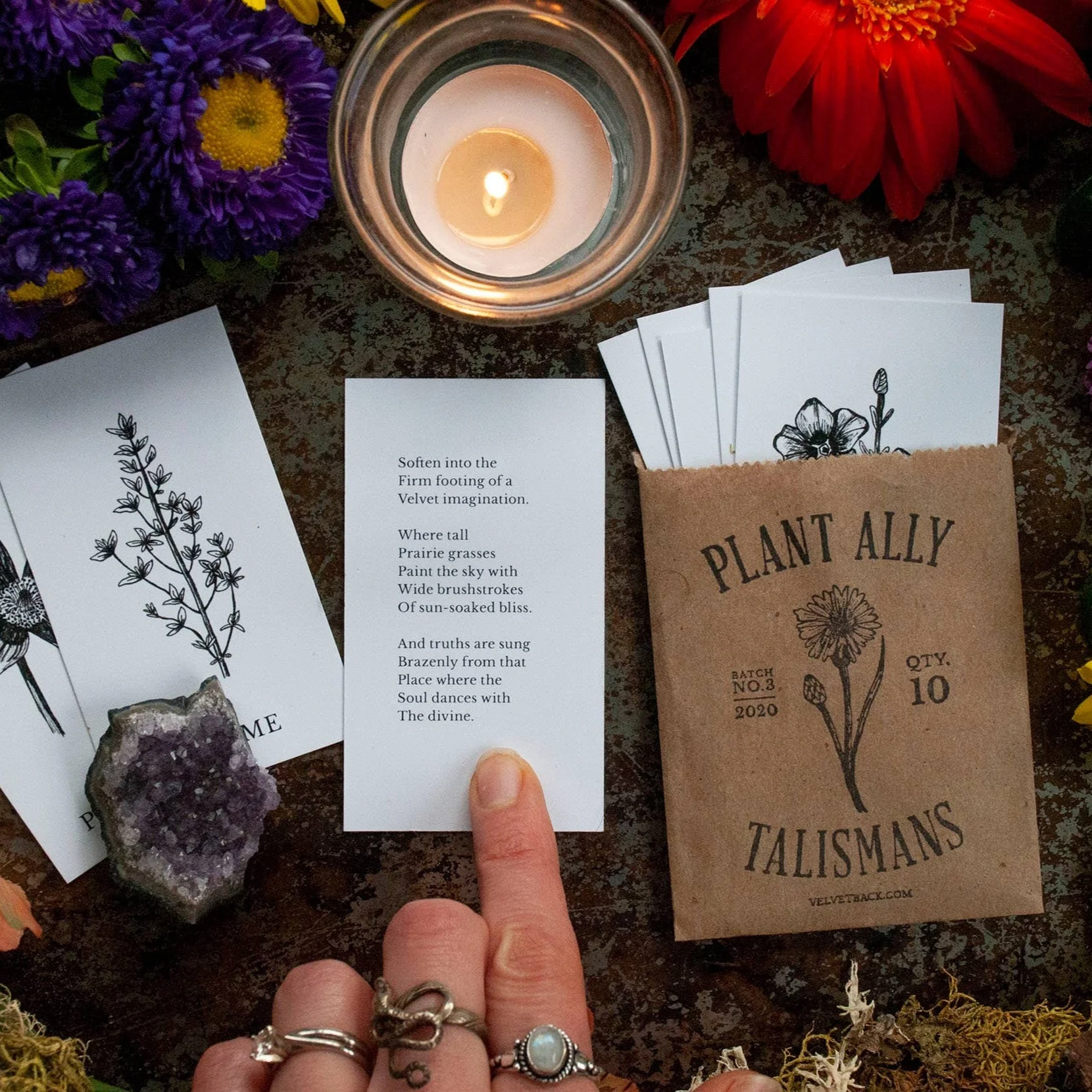 Plant Ally Talisman Cards | Vol 3 - Image 5