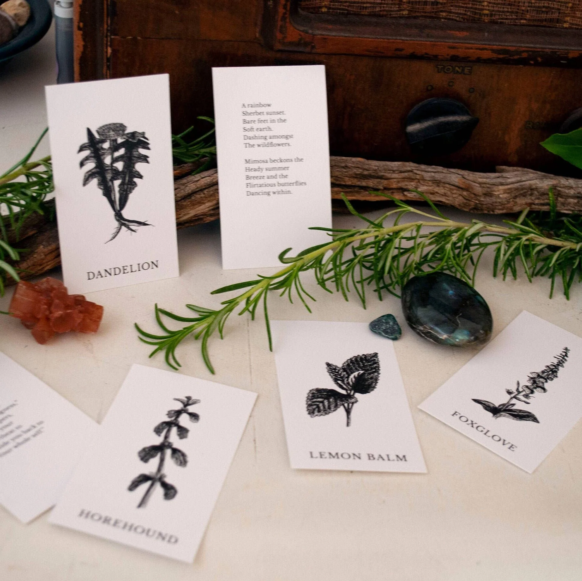 Plant Ally Talisman Cards | Vol 3 - Image 9