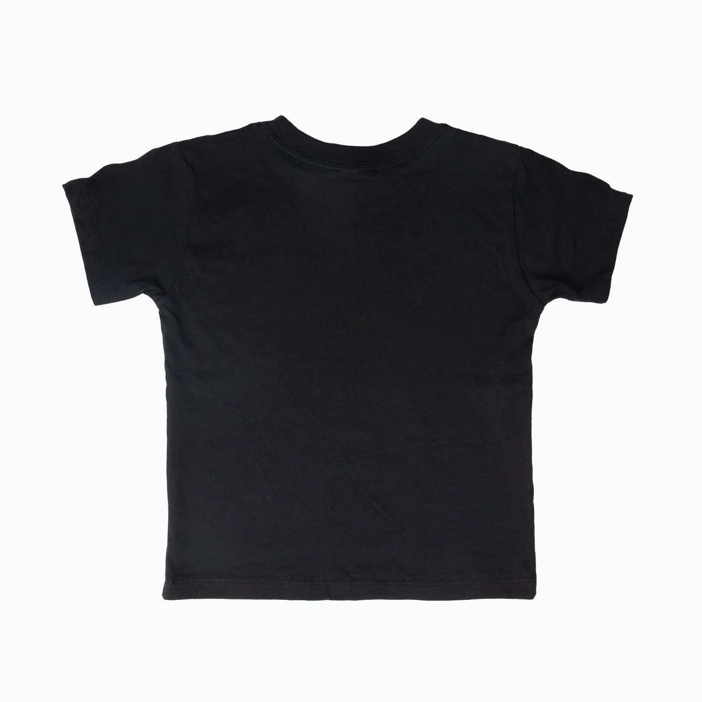 WA State Symbols Kids Tee - Image 3