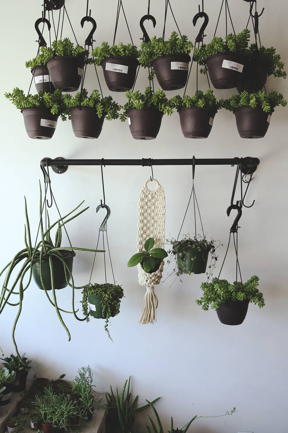 Wall Plant Hanger - Image 2