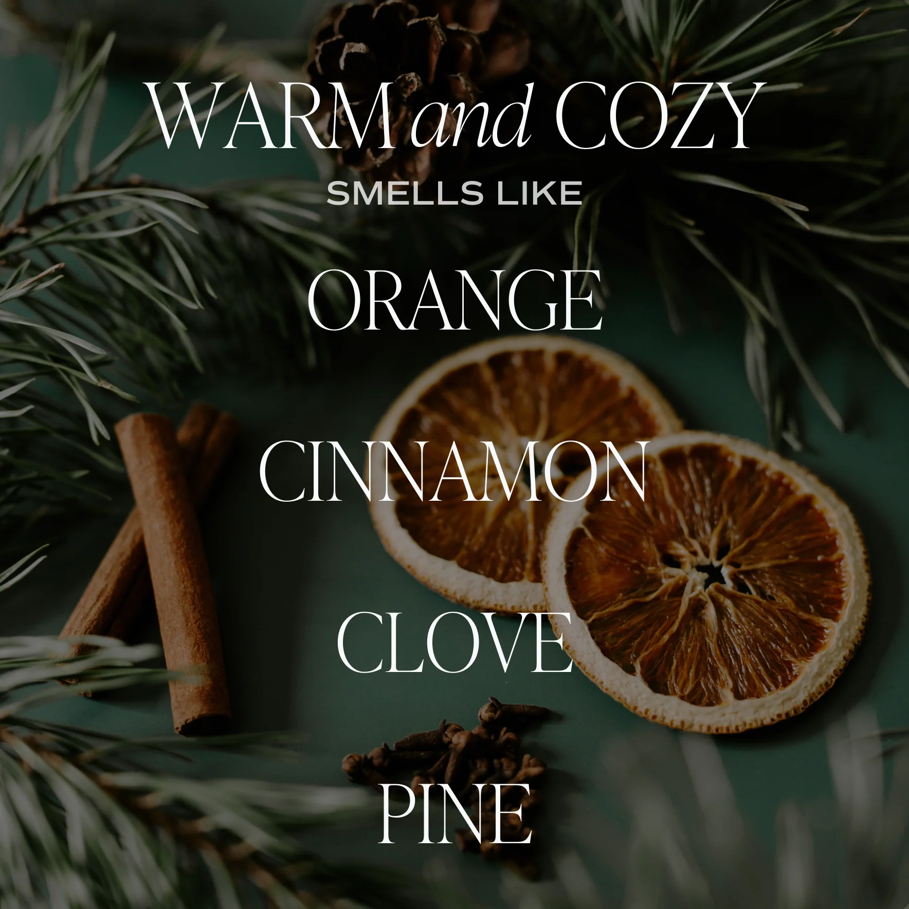 Warm + Cozy Candle - 15oz - Image 2