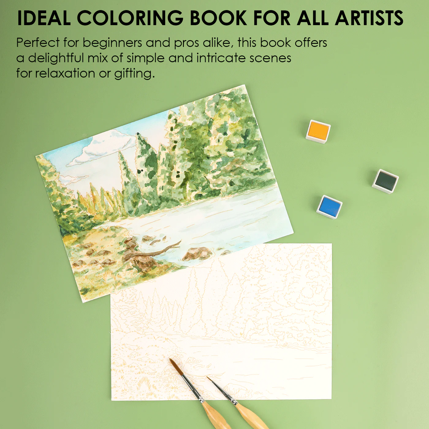 Watercolor Coloring Book: Forest - Image 6