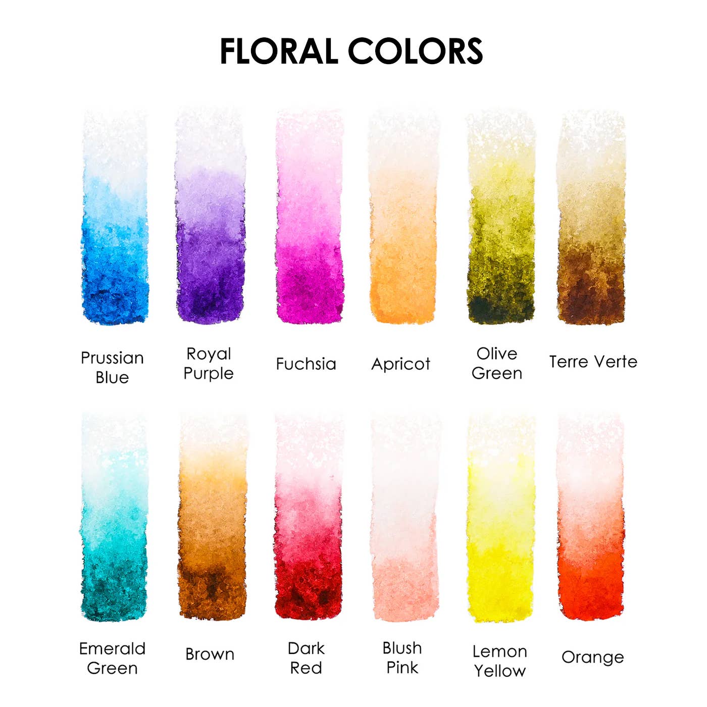 Watercolor Pocket Set of 12 with Brush: Floral Colors - Image 2