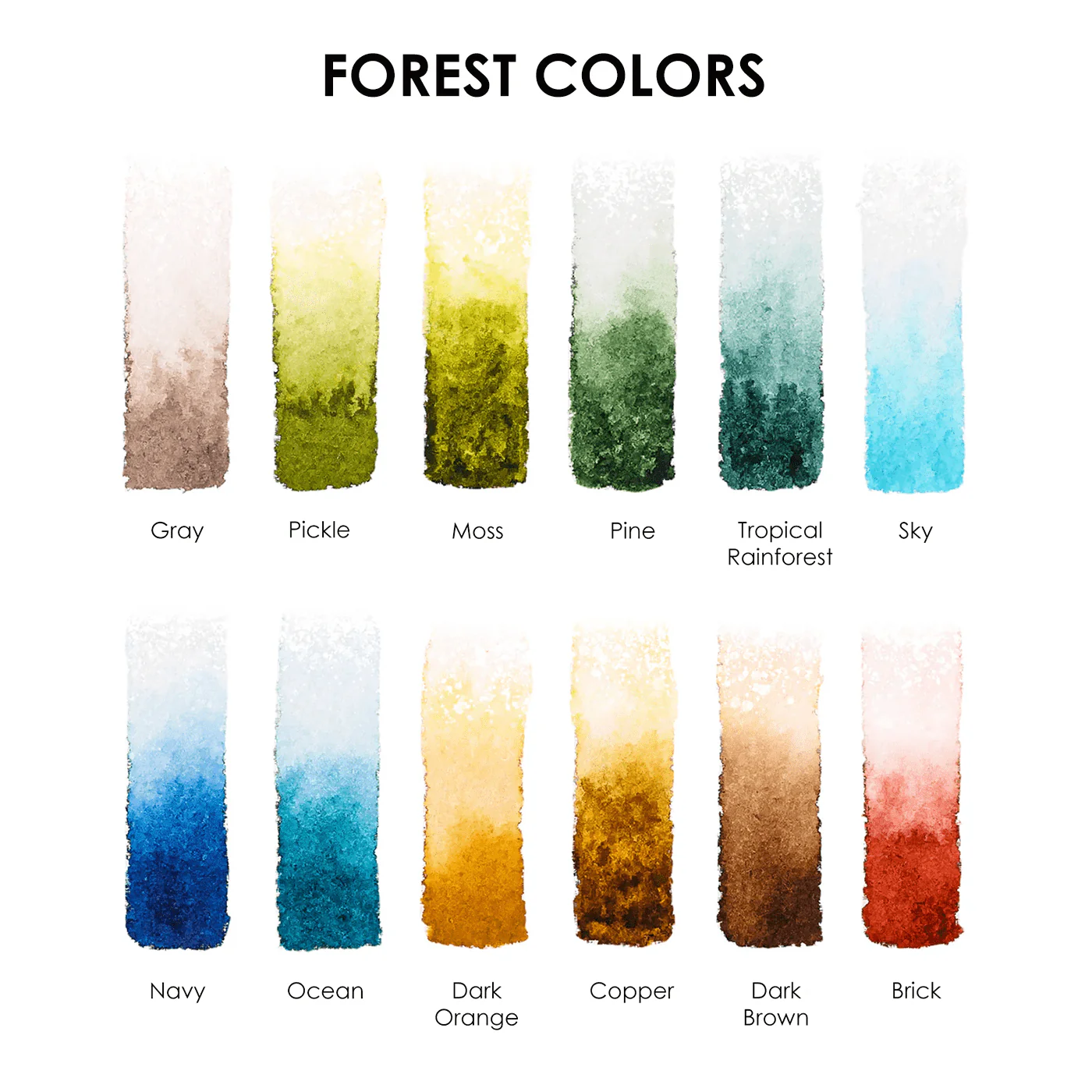 Pocket Watercolor Set of 12 with Brush: Forest Colors - Image 3
