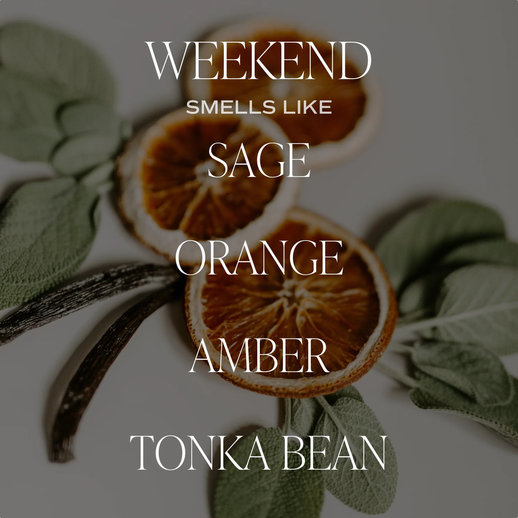 Weekend Reed Diffuser - Image 3