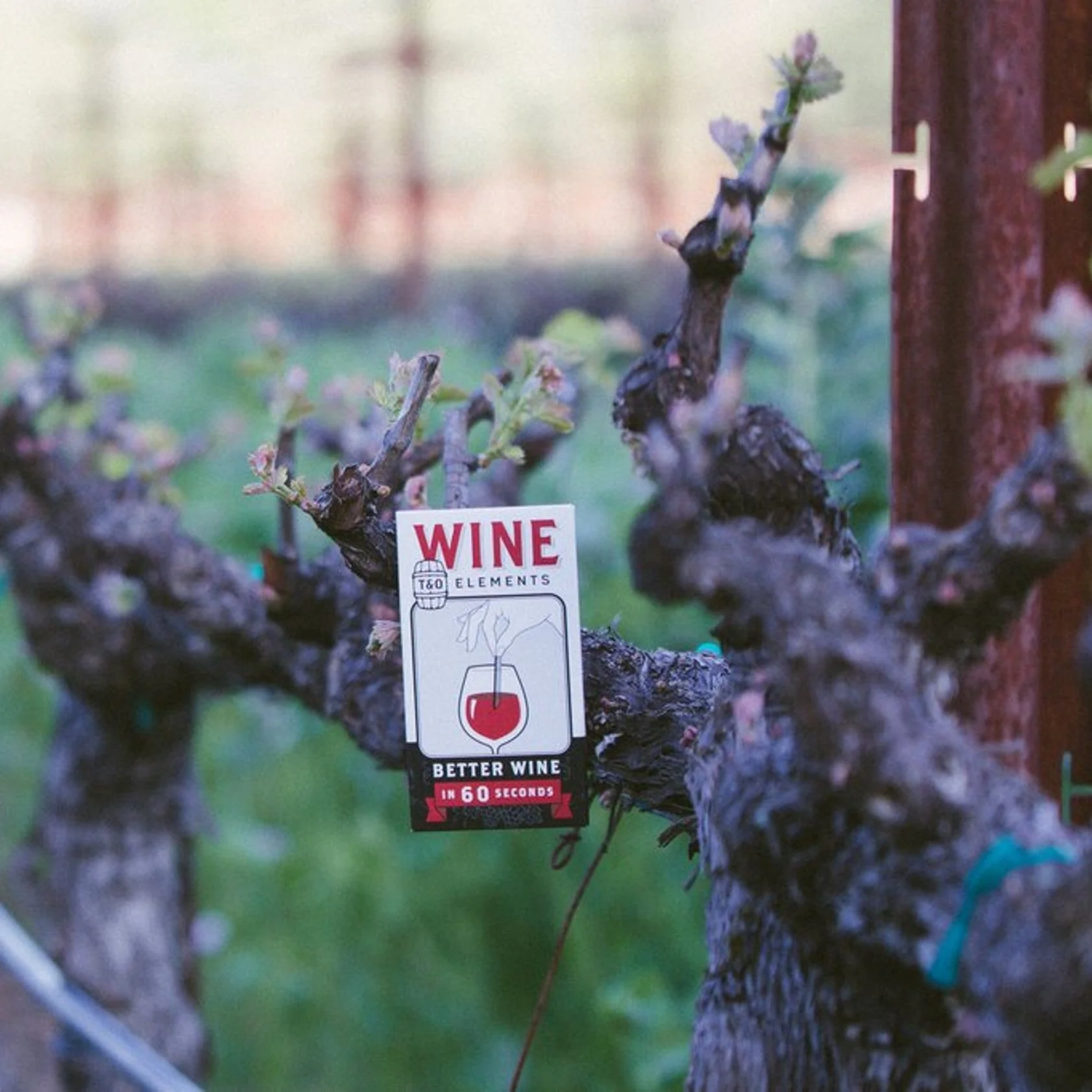 Wine Elements - Image 4