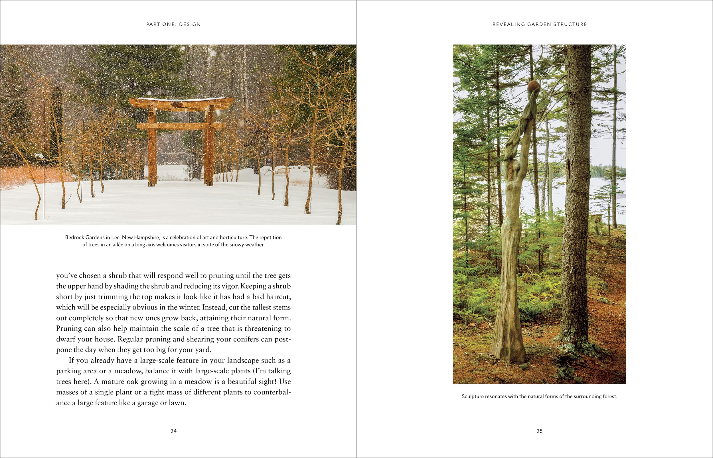Winterland - Image 4