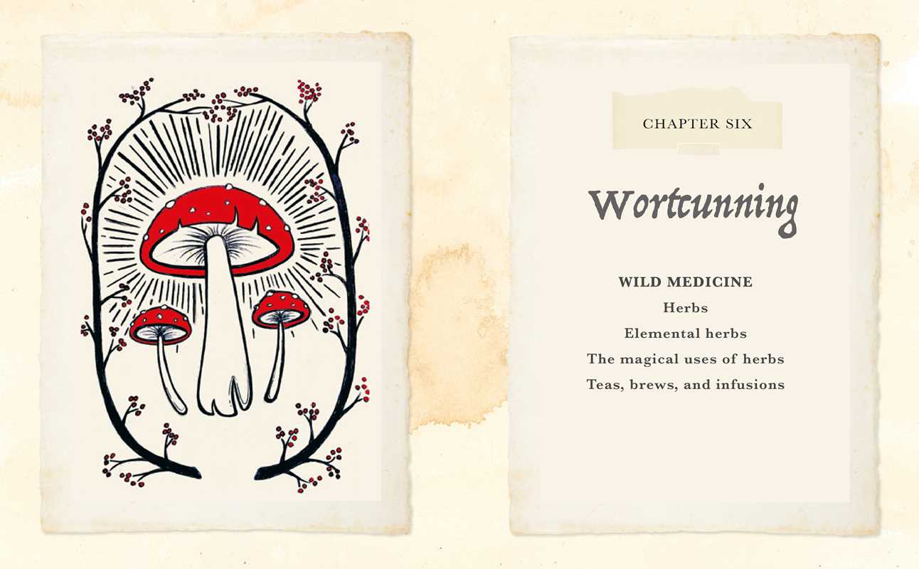 Witch of The Woods - Image 4