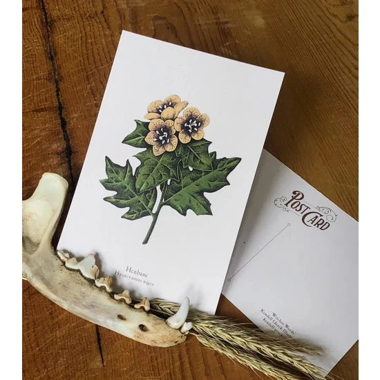 Witches Weeds Postcard Set - Image 2