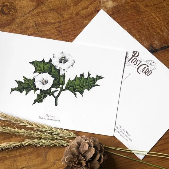 Witches Weeds Postcard Set - Image 4
