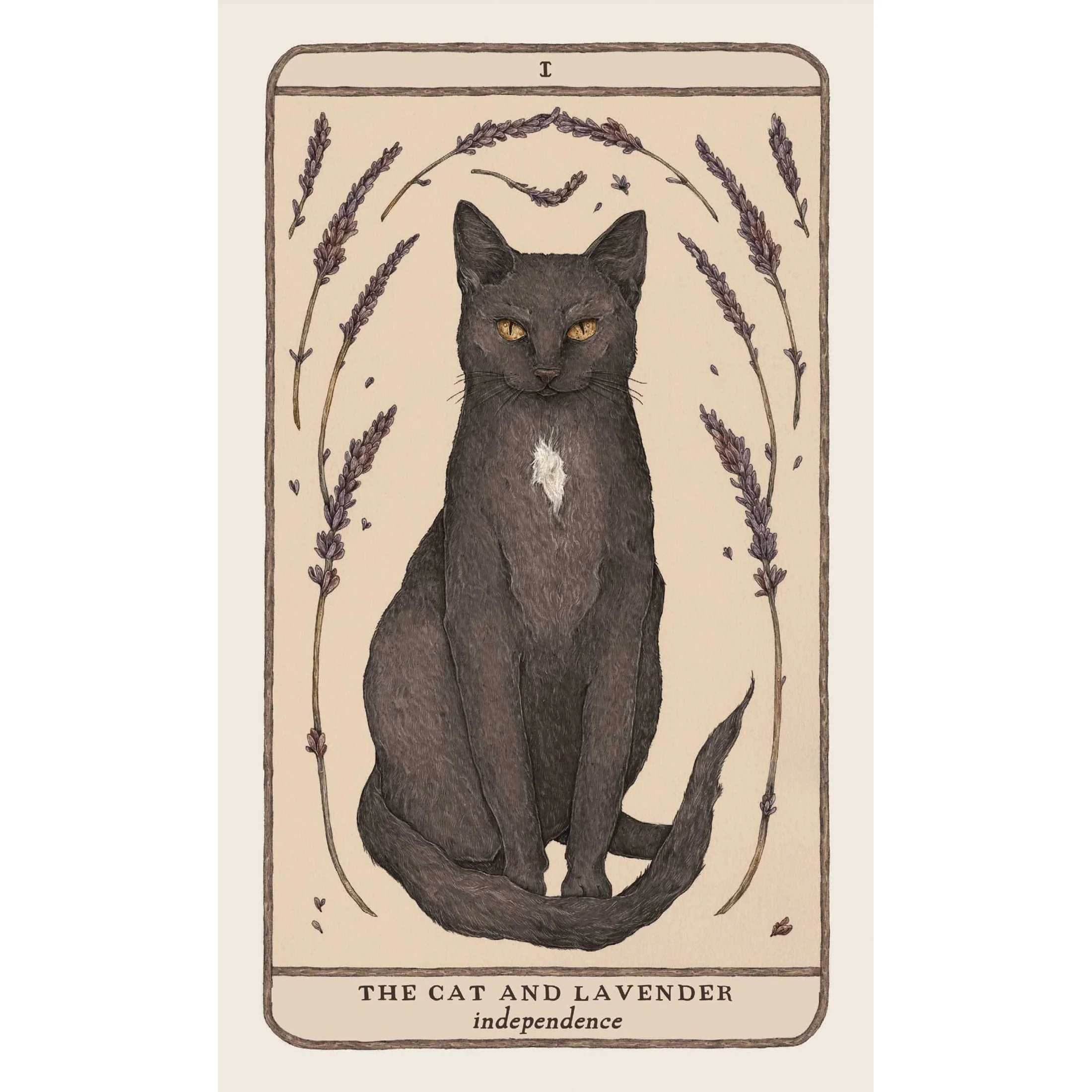 Woodland Wardens Oracle Deck & Guidebook - Image 3