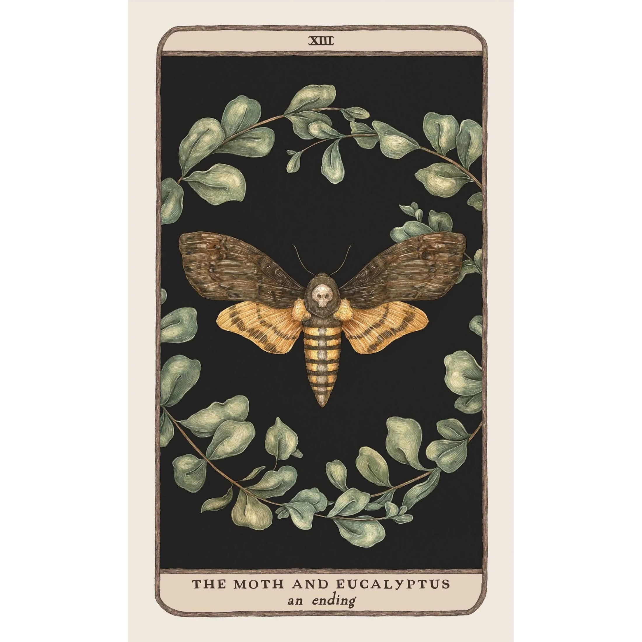 Woodland Wardens Oracle Deck & Guidebook - Image 4