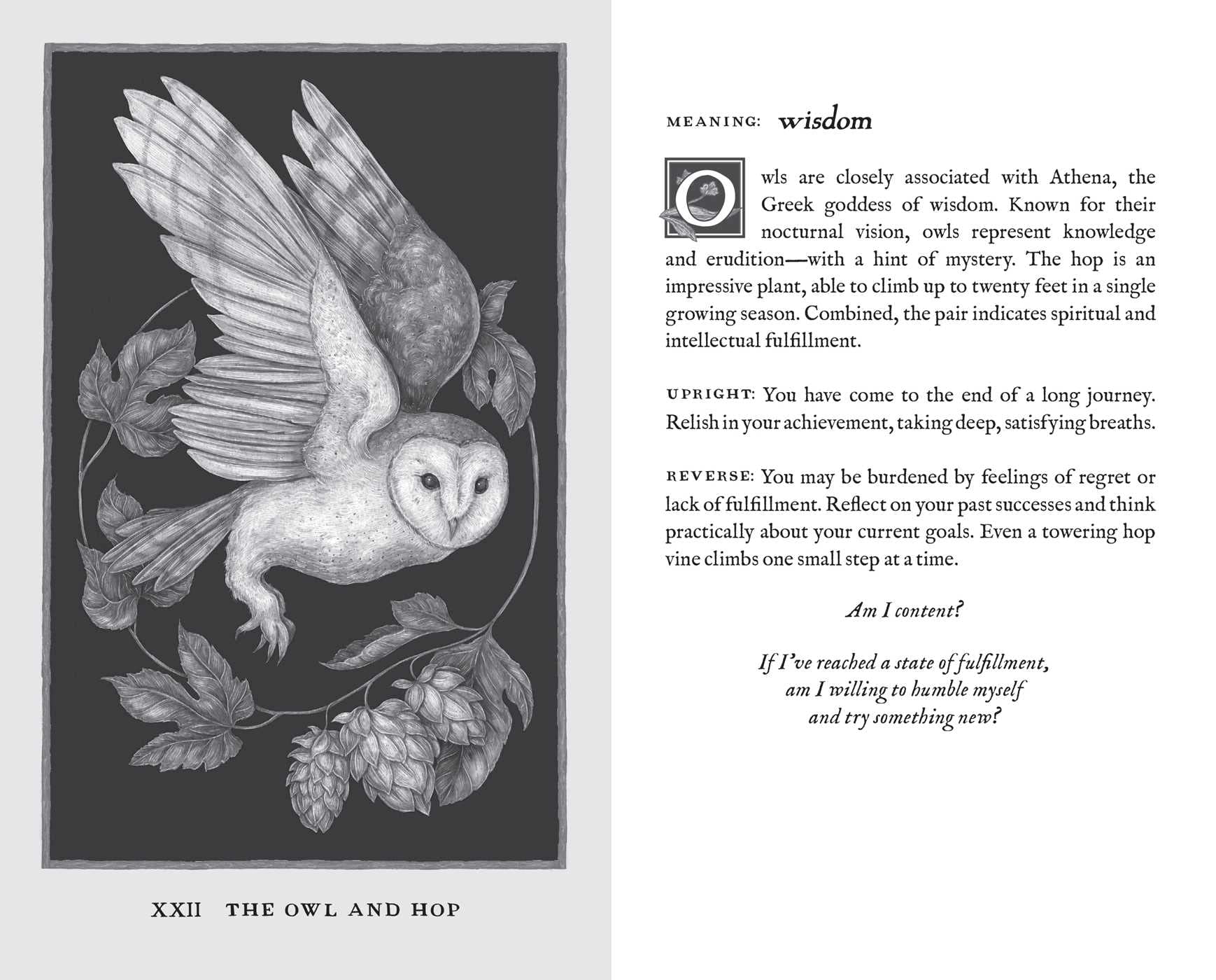 Woodland Wardens Oracle Deck & Guidebook - Image 7