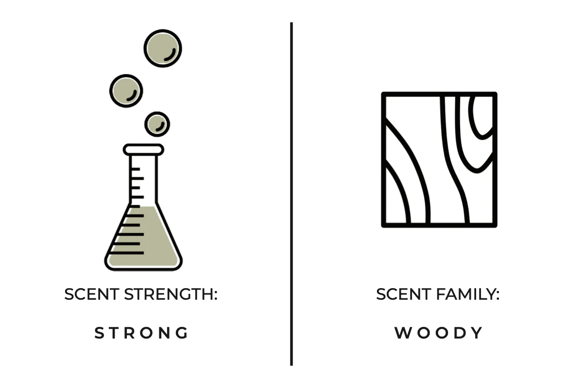 Woods Candle - Image 4
