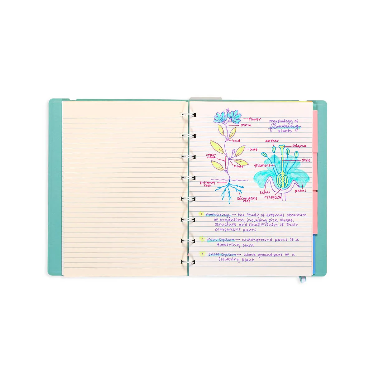 Writer's Duo Double-Ended Fountain Pens + Highlighters - Image 5